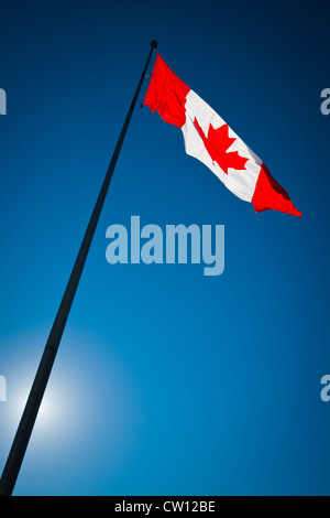 Eine Hintergrundbeleuchtung kanadische Flagge vor einem blauen Himmel. Stockfoto