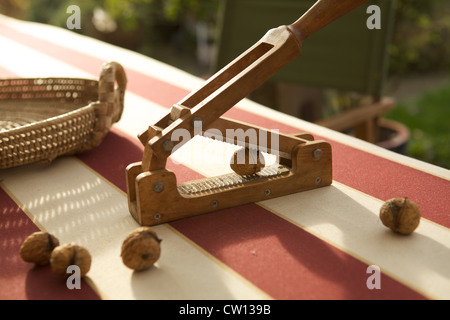 Nussknacker Holz mit einige Walnüsse herum auf den Tisch mit schönen Sonnenlicht und Garten im Hintergrund Stockfoto
