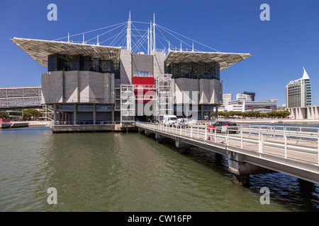 Lissabonner Ozeanarium, das zweitgrößte Ozeanarium in der Welt und der größte in Europa. Lissabon, Portugal. Stockfoto