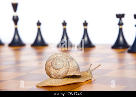 schwarzen Schach und Schnecke auf antiken Schachbrett Stockfoto