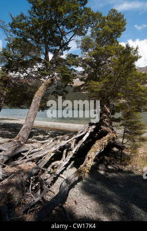 An den Ufern der Seen Mavora wurden Teile des Films "Lord of the Rings" in der New Zealand südlichen Alpen hergestellt. Stockfoto