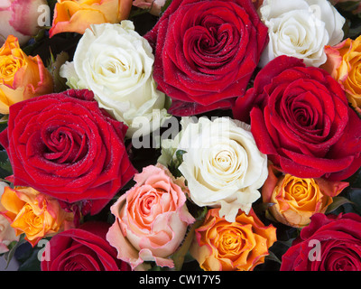 Bouquet von verschiedenen viele farbige Rosen hautnah Stockfoto