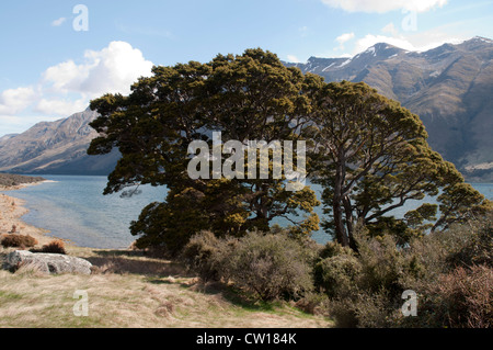 An den Ufern der Seen Mavora wurden Teile des Films "Lord of the Rings" in der New Zealand südlichen Alpen hergestellt. Stockfoto