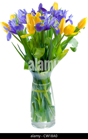Glas-Vase mit Tulpen und Iris Blumen isoliert auf weiss Stockfoto