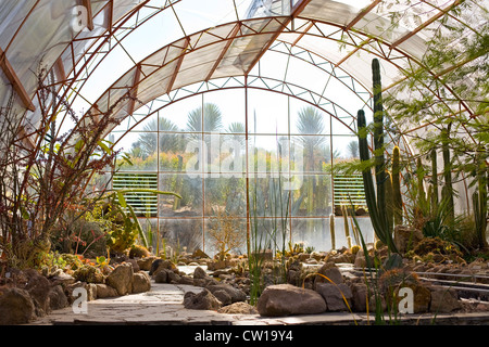 Botanische Gärten Presa del Obraje Miguel de Allende, Mexiko Stockfoto