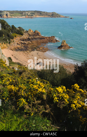 Beauport Strand, Insel Jersey, Kanalinseln Stockfoto