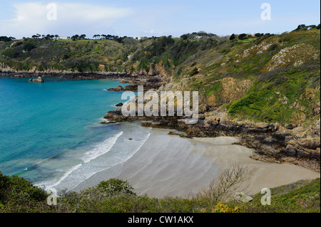 Blick vom Jerbourg Point auf Moulin Huet Bay, Insel Guernsey, Channel Islands Stockfoto