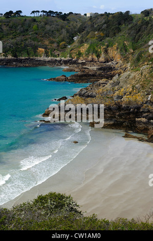 Blick vom Jerbourg Point auf Moulin Huet Bay, Insel Guernsey, Channel Islands Stockfoto