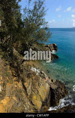 Küste nördlich von Fermain Point, Insel Guernsey, Channel Islands Stockfoto