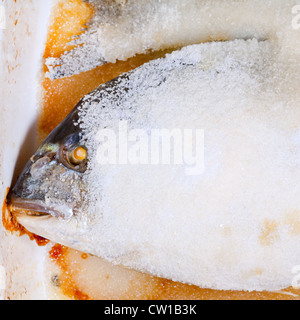 Dourada Fisch in Salz gebackene Stockfoto