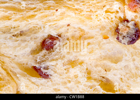 süße Kuchen Pandoro hautnah Stockfoto