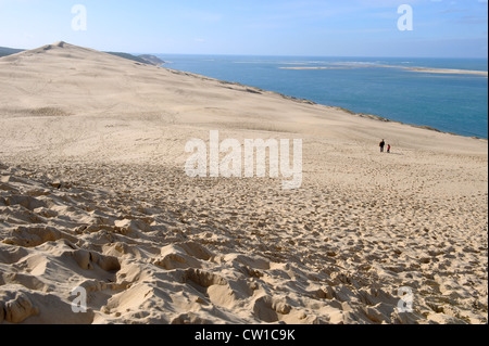 Düne von Pyla, die höchste Sanddüne in Europa, la Teste-de-Buch, Bucht von Arcachon, Landes de Gascogne, Aquitaine, Frankreich Stockfoto