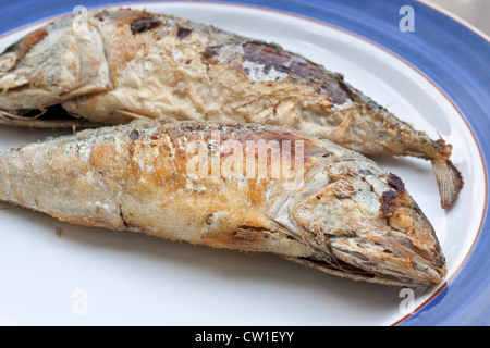 Makrele ist ein Grundnahrungsmittel der Thais. Stockfoto