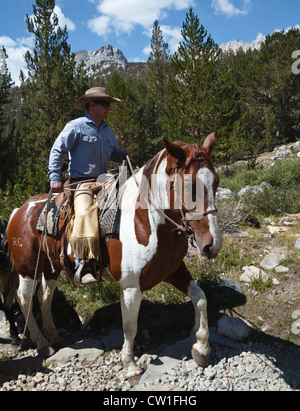 Fahrer von Rock Creek Pack Station in kleinen Seen-Tal im Rock Creek Canyon, nicht weit von Mammoth Lakes Stockfoto
