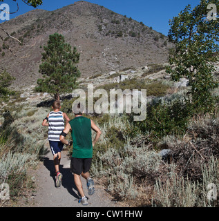 Teen Langlauf Läufer trainieren im Hochgebirge unterwegs um Convict Lake in der Nähe von Mammoth Lakes, Kalifornien Stockfoto