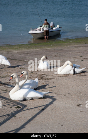 Startende Boot am Fluss Arun, Littlehampton, West Sussex Stockfoto