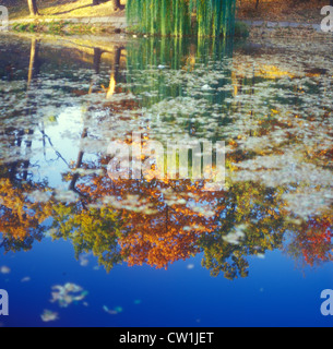 Herbst Reflexionen. Stockfoto