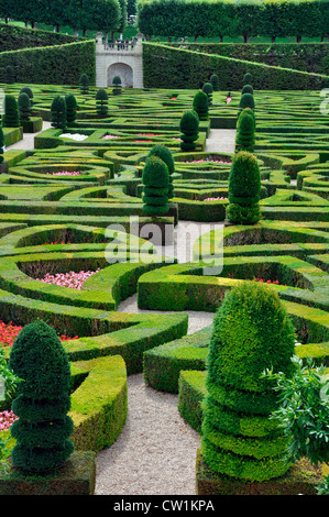 Formale Gärten vom Chateau at Villandry, in das Tal der Loire in Frankreich, Europa. Stockfoto