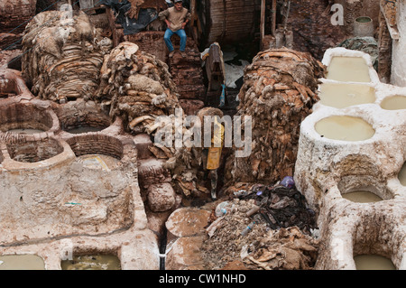 Arbeitnehmer in den tausend Jahre alten Leder-Gerberei in der alten Medina von Fes, Marokko Stockfoto