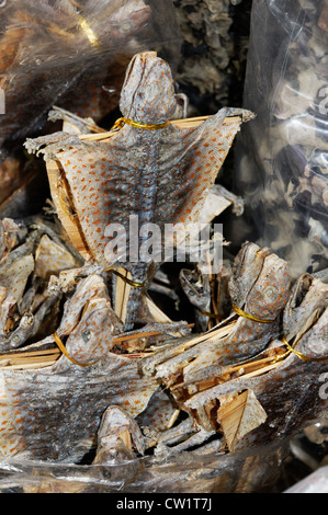 Getrocknete Eidechsen auf einem Stick in einem chinesischen Markt Stockfoto