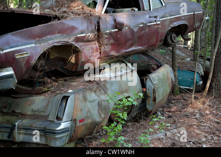 Alte verlassene Autos in Wäldern, auf einander gestapelt Stockfoto