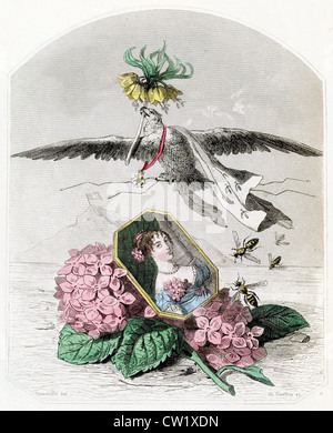 Hortensie und Imperial crown Stockfoto