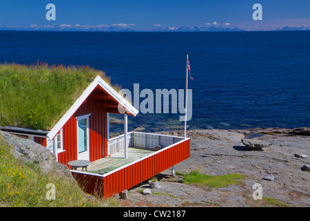 Typischen roten Urlaub Hütte mit Sod Dach auf Lofoten in Norwegen Stockfoto