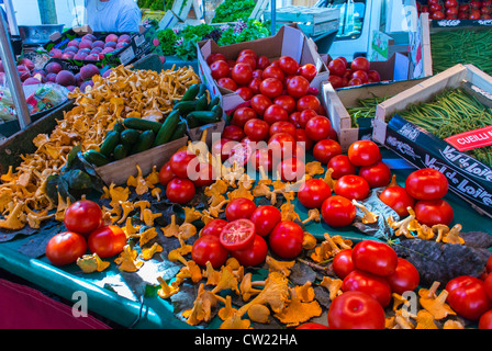 Paris, Frankreich, Frischgemüse, Pilze, auf dem französischen Bauernmarkt im Freien, Bio-Shopping, gesunde Lebensmittel, nachhaltige Lebensmittelversorgung Stockfoto