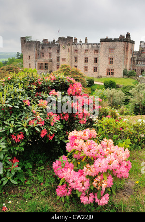 Muncaster Schloss und Gärten blühen im englischen Lake District Stockfoto