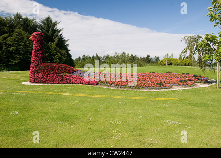 Eines der Blumenschmuck der Jesperhus Flowerpark Stockfoto