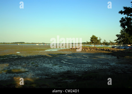 Blick auf la Marle Fluss bei Ebbe von Ile de Conleau, Vannes, Morbihan, Bretagne, Frankreich Stockfoto