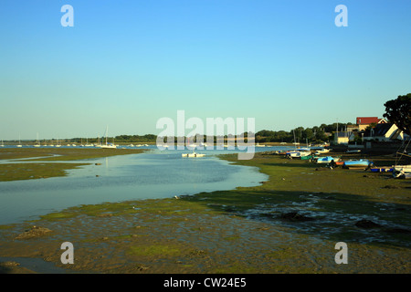 Blick auf la Marle Fluss bei Ebbe von Ile de Conleau, Vannes, Morbihan, Bretagne, Frankreich Stockfoto