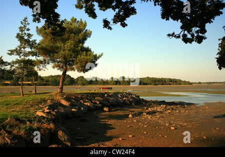 Blick auf la Marle Fluss bei Ebbe von Ile de Conleau, Vannes, Morbihan, Bretagne, Frankreich Stockfoto