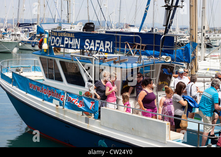 Delphin Safariboot am Ocean Village, Gibraltar. Stockfoto