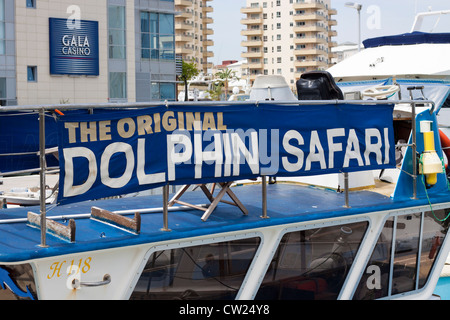 Delphin Safariboot am Ocean Village, Gibraltar. Stockfoto