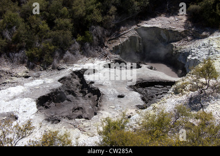 "Des Teufels Tinte Töpfe" (kochendem Schlamm Becken) im Wai-O-Tapu Thermal Wonderland. Rotorua, Nordinsel, Neuseeland Stockfoto