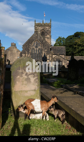 Pfarrkirche Saint Wilfred, in Calverley, Leeds. Die Kirche wurde bis ins 14. Jahrhundert zurück. Stockfoto