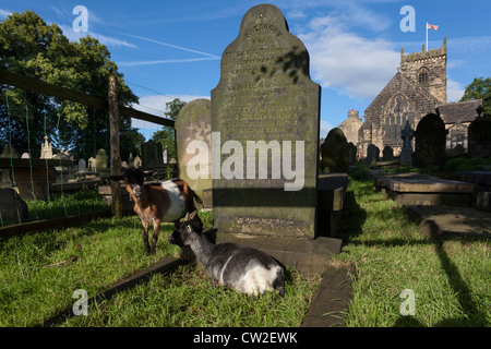 Pfarrkirche Saint Wilfred, in Calverley, Leeds. Die Kirche wurde bis ins 14. Jahrhundert zurück. Stockfoto