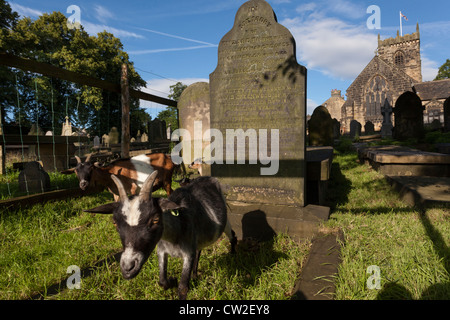 Pfarrkirche Saint Wilfred, in Calverley, Leeds. Die Kirche wurde bis ins 14. Jahrhundert zurück. Stockfoto