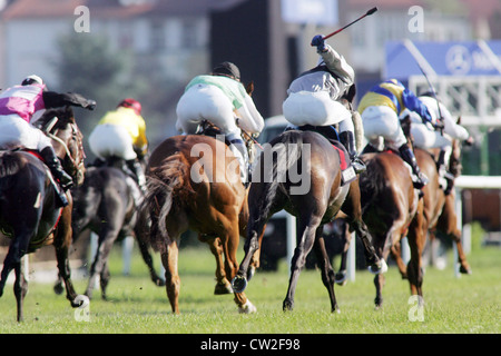 Iffezheim, Pferde und Jockeys im Rennen Stockfoto