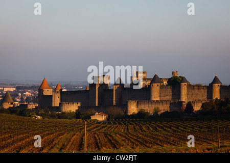 Detailansicht der sonnenbeschienenen Weinbergen mittelalterlichen Stadtmauer und Türme der alten ummauerten Stadt Carcassonne mit modernen Gebäuden Stockfoto