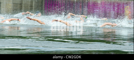 Frauen Marathon 10km Freiwasser schwimmen London 2012 Olympics Hyde Park Serpentine Lake, London Uk Stockfoto