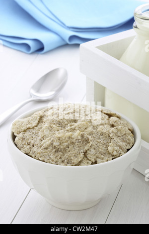 Leckeren und nahrhaften leicht geröstet Frühstücksflocken Reis, Flocken und Milchflasche Stockfoto