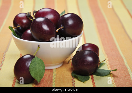 Frische reife Pflaumen in weiße Schüssel. Tiefenschärfe, flachen dof Stockfoto