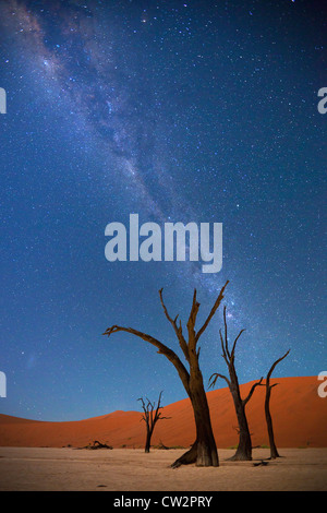 Milchstraße über Dead Vlei, Soussvlei, Namibia Stockfoto