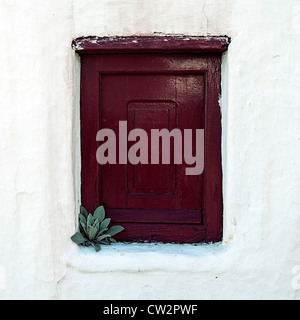 alte Holzfenster mit Fensterläden und kleine Pflanze Stockfoto