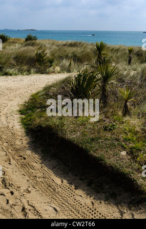 Shell Beach Insel Herm Kanalinseln Stockfoto