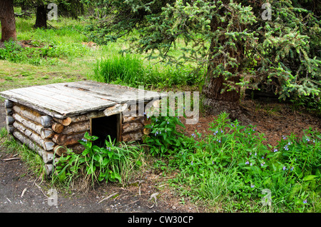 Alaska-Hundehütte Stockfoto
