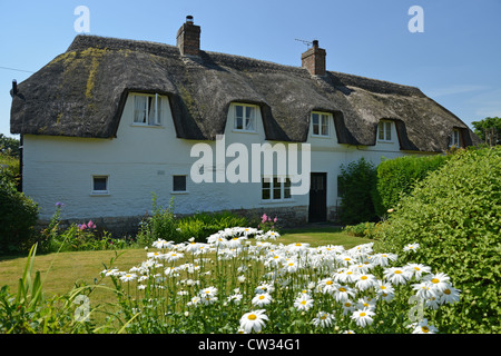 Reetdachhaus in Tolpuddle, Dorset, England, Vereinigtes Königreich Stockfoto