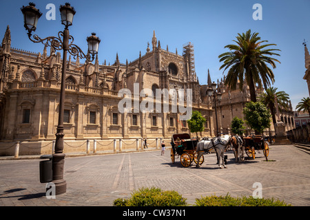 Sevilla, Andalusien, Spanien, Europa. Touristischen Pferd und Kutsche vor der Kathedrale der Heiligen Maria des Stuhls. Stockfoto